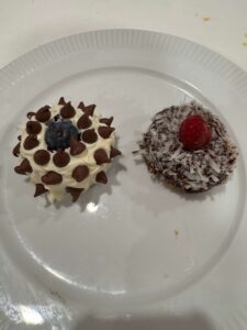 Chocolate & Vanilla Snow Caps